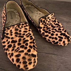 Birdies size 6 starling in cheetah print